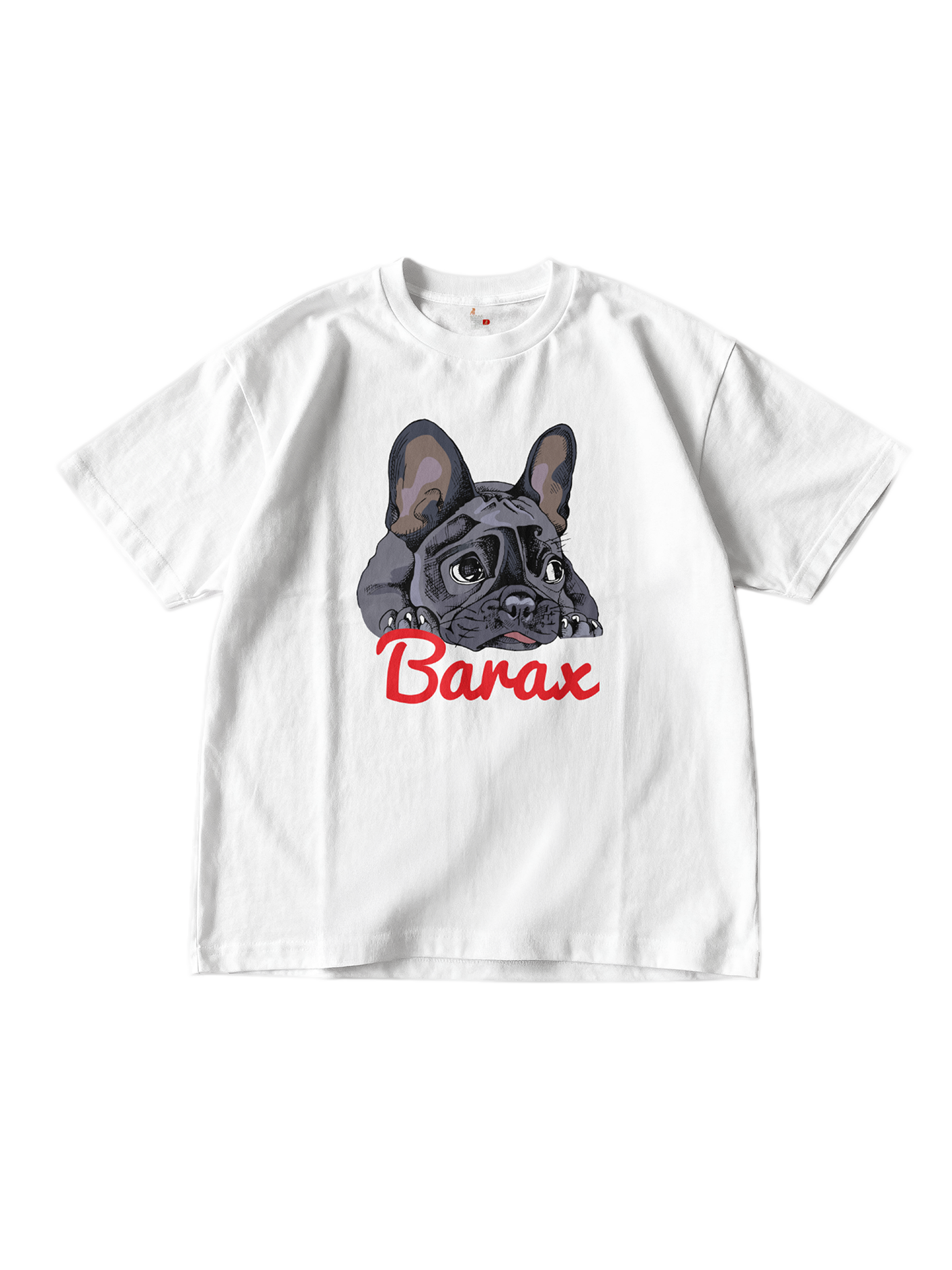 Barax Soft Guard Oversized Tee